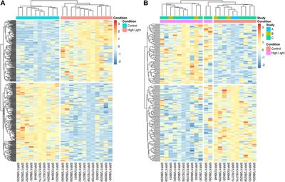 Transcriptomic meta-analysis and functional validation identify genes linked to adaptation and involved in high-light acclimation in Synechocystis sp. PCC 6803